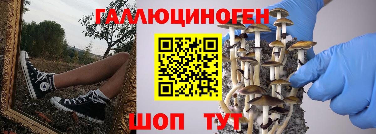 Галлюциногенные грибы мухоморы  Вход с VPN  Галлюциногенные грибы мицелий  Будённовск 