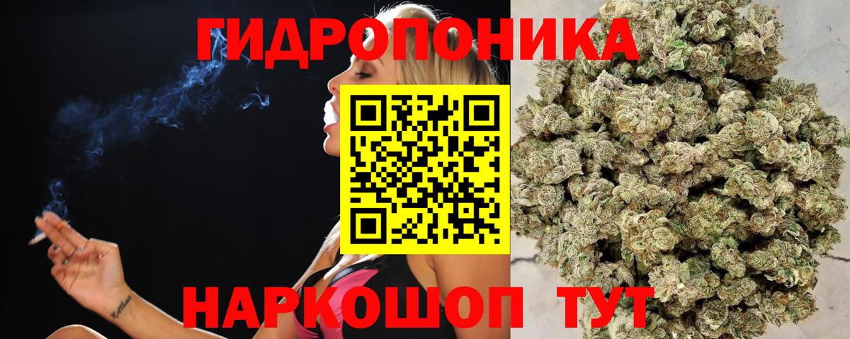 Шишки марихуана семена  Вход с VPN  Будённовск  Каннабис SATIVA & INDICA 